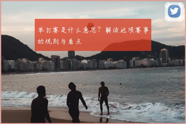 单打赛是什么意思？解读这项赛事的规则与看点