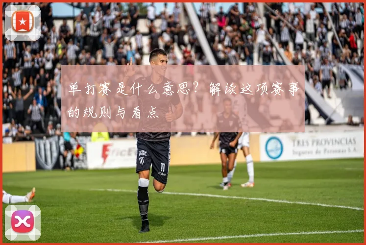 单打赛是什么意思？解读这项赛事的规则与看点